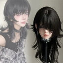 ウィッグ フルウィッグ ロングウィッグ ぱっつん前髪 コスプレ用ウィッグ 男装用 前髪あり ハロウィン 原宿風 韓国風 かつら コスチューム 仮装 大人用 普段使い 文化祭 イベント 学園祭 演劇 舞台 学芸会 ブラウンブラック dp044m3m3x0