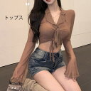 シアー シャツ 長袖 トップス 袖あり セクシー ブラウス 透け感 シースルー 韓国風 大人 可愛い かわいい 秋 冬 春 夏 オフィス 通勤 20代 30代 ...