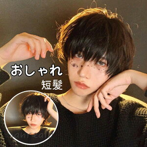 男装ウィッグ 自然でばれない 人気のかつら レディース のおすすめランキング キテミヨ Kitemiyo 男装ウィッグ 自然でばれない 人気のかつら レディース のおすすめランキング キテミヨ Kitemiyo