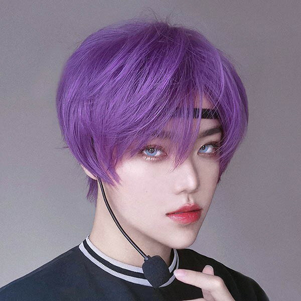 ウィッグ メンズ 短髪 かつら 自然 フルウィッグ ショートウィッグ ショートヘア 前髪あり コスプレ 男装 おしゃれ ナチュラル かっこいい 可愛い ショート 耐熱ウィッグ パープル 小顔効果抜群 コスチューム 文化祭 学園祭 イベント 韓国風 dp181n1n1g4