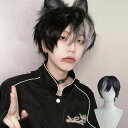 ウィッグ メンズ 短髪 かつら 自然 フルウィッグ ショートウィッグ ショートヘア 前髪あり コスプレ 男装 おしゃれ ナチュラル かっこいい 可愛い ショート 耐熱ウィッグ ブルー 小顔効果抜群 コスチューム 文化祭 学園祭 イベント 韓国風 dp219n1n1g4