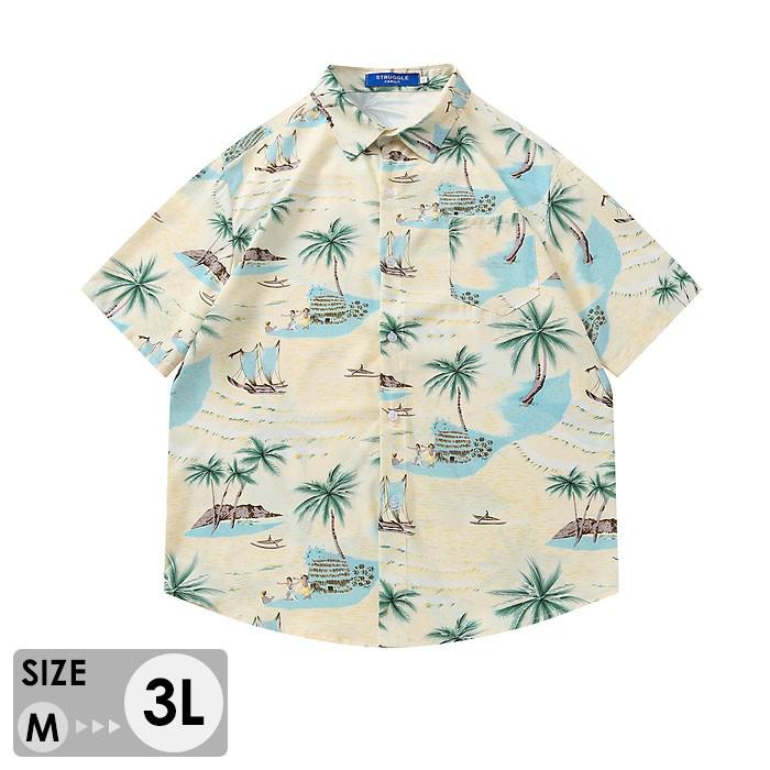 ϥ  3L ˽ѥϥ ʪ  ·  ǥ ڥ ץǥ ϥ磻 ߥ Ⱦµ ץ...