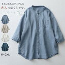 トップス レディース ブラウス 長袖 トレンド 大人 お洒落 無地 30代 40代 50代 春 春夏 夏 秋 人気 レース ゆったり 袖 きれいめ おしゃれ O...
