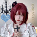 ウィッグ かつら かわいい 女性 普段 使い ロリータ lolitaファッションwig 自然 医療用ウィッグ ワインレッド 小顔効果 レディース女性 コスプレ前髪自然 医療用 フリーサイズ dp008sasax0