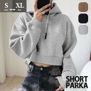 ショートパーカー 長袖 フード レディース クロップトップ クロップシャツ フィットティーシャツ ヒップホップ スウェット 短丈 ハイウエスト お腹見せ ストリートダンス 春 夏 秋 ダンスウエア トップス レディース グレー 灰色 ブラック 黒 ホワイト 白 S-2L dk081x1x1z7