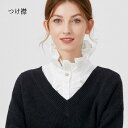 つけ襟 レディース 付け襟 立ち襟 ロリータ 襟 レディース プリーツ フリルカラー 取り外し可能 襞襟 ブラウス シャツ ファッション小物 重ね着風 大人 可愛い エレガント オールシーズン 仮装 イベント 学園祭 コスチューム na009zbzbx0