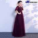 【翌営業日発送】 ロングドレス 演奏会 ドレス 大人 ピアノ 発表会 演奏会用ドレス 演奏会ドレス パーティードレス パープル 3L 結婚式 袖あり 痩せ見え 上品な ロング丈ドレス レース お呼ばれ 二次会 20代 30代 40代 50代 締上げタイプ mt002s1x0kc/返品・交換・同梱不可