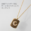 金属アレルギー対応 ネックレス サージカルステンレス 三日月プレート 42cm+アジャスター5cm 大人 シンプル つけっぱなし 錆びない キュービックジルコニア ゴールド お洒落 20代 30代 40代 50代 SUS316 【STL by SUNNY SIDE】