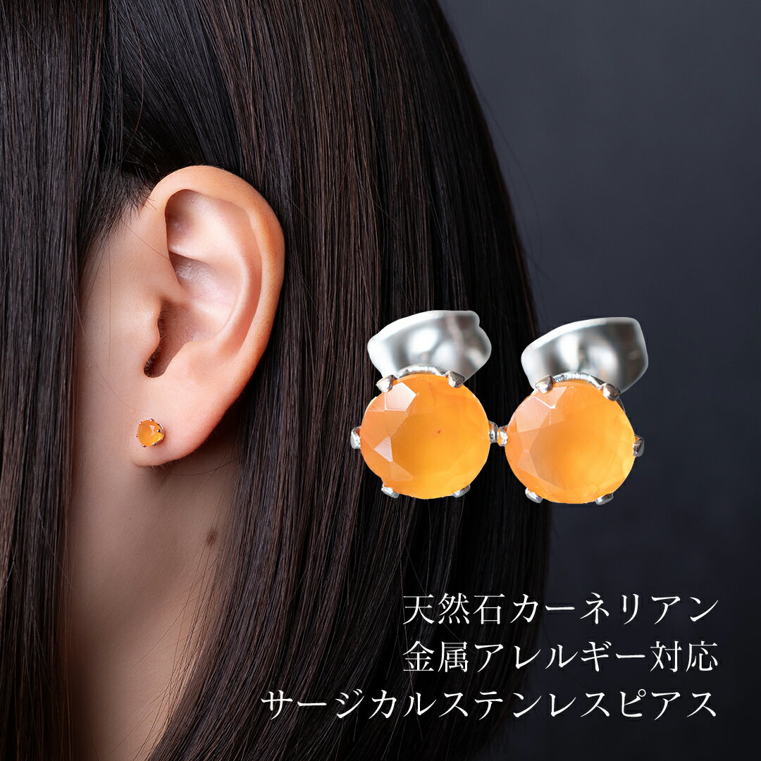 °륮б Сåɥԥ ŷХͥꥢ 饦6mm 6 ѥȡ 륹ƥ쥹 ǥ ...