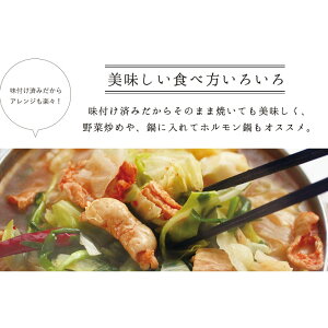 美川の上シロ150g×5個セット国産豚ホルモン【冷蔵】お好きな味が選べます!※北海道・沖縄本島及びその他離島送料別途