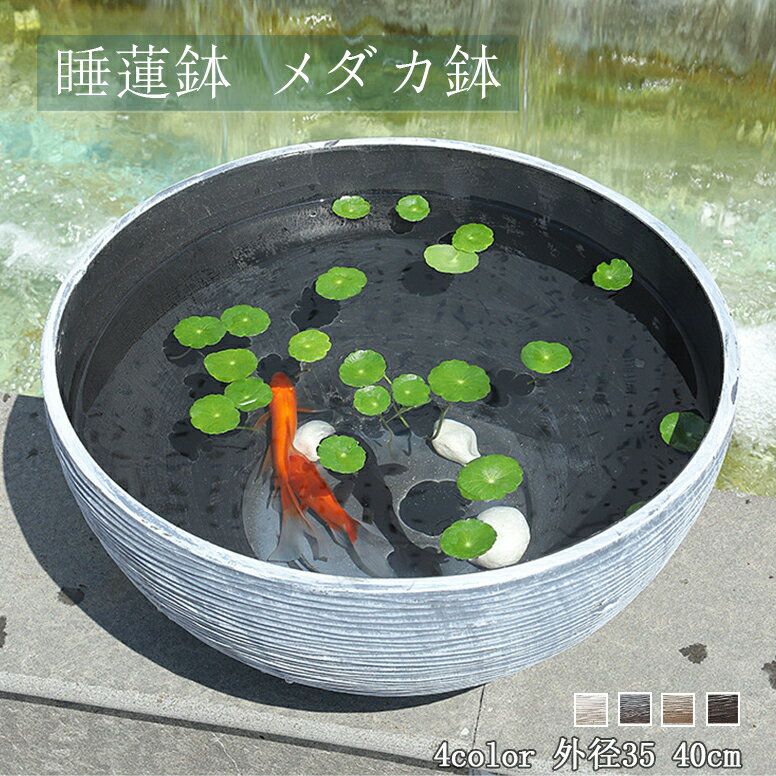 Rakuten - 水耕栽培 鉢 大型 睡蓮鉢 金魚鉢 金魚水槽 大きい 植木鉢 丸鉢 飼育鉢 プラスチック 樹脂製 軽量 割れにくい 頑丈 観葉植物 屋外飼育 亀 容器 水培