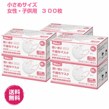 Hidoon使いきり不織布マスク 300枚 小さめ プリーツ 50枚X6箱 女性 子供用 PFE99％ BFE99％ VFE99% フィルター採用　花粉　国内発送 メルトブロー不織布使用 145mmX95mm