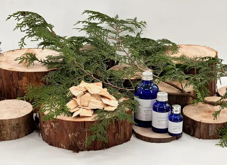 �ҤΤ��Υ��åɥ��å�