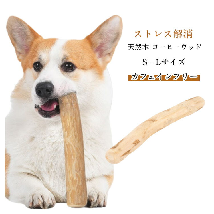 ■限定クーポン配布■ 犬 天然木 コーヒーウッド 2本セット 噛む 安全健康 口臭ケア 犬用玩具 デンタルケア ストレス解消 超小型犬 小型犬
