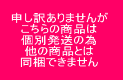 保冷剤（ナイロン）300g（140×180mm）1箱（50個入り）【 個人様宛　別途送料にて配送可・要事業者名 】【 レジャー　冷凍食品　低温輸送　等に 】 2