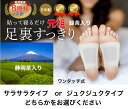 お買い物マラソン10%OFF 樹液シート 足裏シート 緑茶入り フットケア 角質除去 足のむくみ 解消 樹液シート スッキリシート 足裏樹液シート 足の裏 樹液 足裏樹液 爽やかシート ワンタッチ 足裏パック 大容量 日本製 最もお買い得な商品(4)