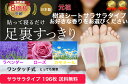 樹液シート 足裏シート ラベンダー ローズ カモミール アロマお手入れ簡単 使用後洗わなくてOK サラサラタイプ196枚入り すぐに貼れるワンタッチ 足のむくみ...