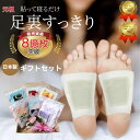 お買い物マラソン 5%OFF 樹液シート 足裏シート 足の疲れ ギフト 大切な方への贈り物 ギフト商品 セレクト商品 選べるギフト お中元 プレゼント 樹液シート 足裏 サラサラタイプ ジュクジュクタイプ 足裏樹液シート 足 疲労 回復 グッズ 足の裏 三皇 フットケア用品