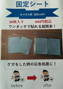 固定シート 50枚セット 樹液シート 