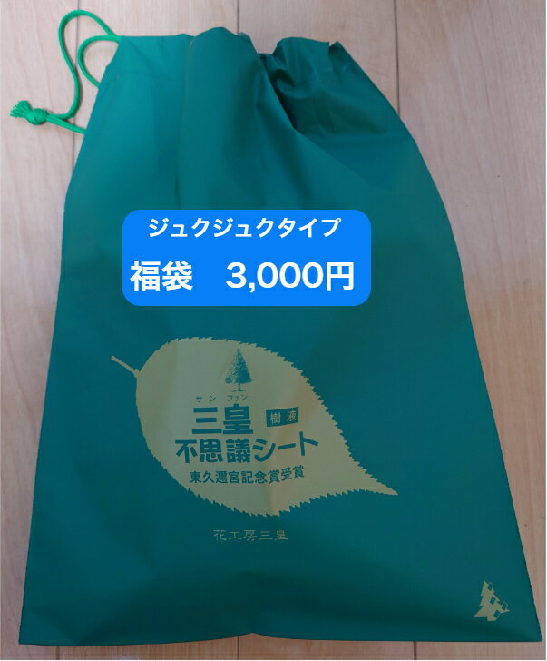 福袋 ジュクジュクタイプセット 足裏シートジュクジュクタイプが盛り沢山　人気の商品が沢山 　赤字覚悟の福袋　フットケア用品