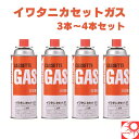 【送料無料】イワタニ カセットガス オレンジ 3本/4本セット|Iwatani CB-250-OR|カセットコンロ用 ガスボンベ|防災 備蓄 アウトドア キャンプ BBQ ストーブ用 非常用燃料【※北海道・沖縄・離島への配送は対応しておりません】