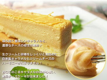 チーズケーキ 訳あり 生キャラメル・ミルキーチーズケーキバー500g