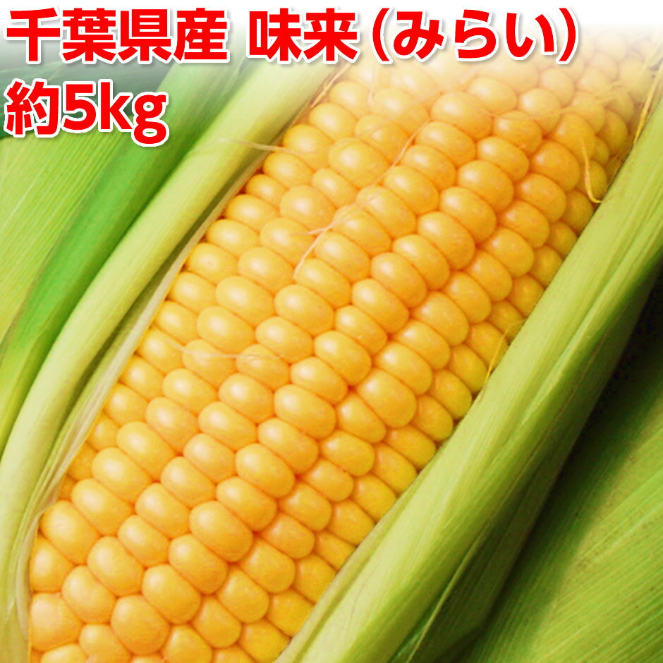 とうもろこし 数量限定！千葉県産 味来（みらい） 約5kg（11本〜15本）【送料無料】 朝採り ト ...