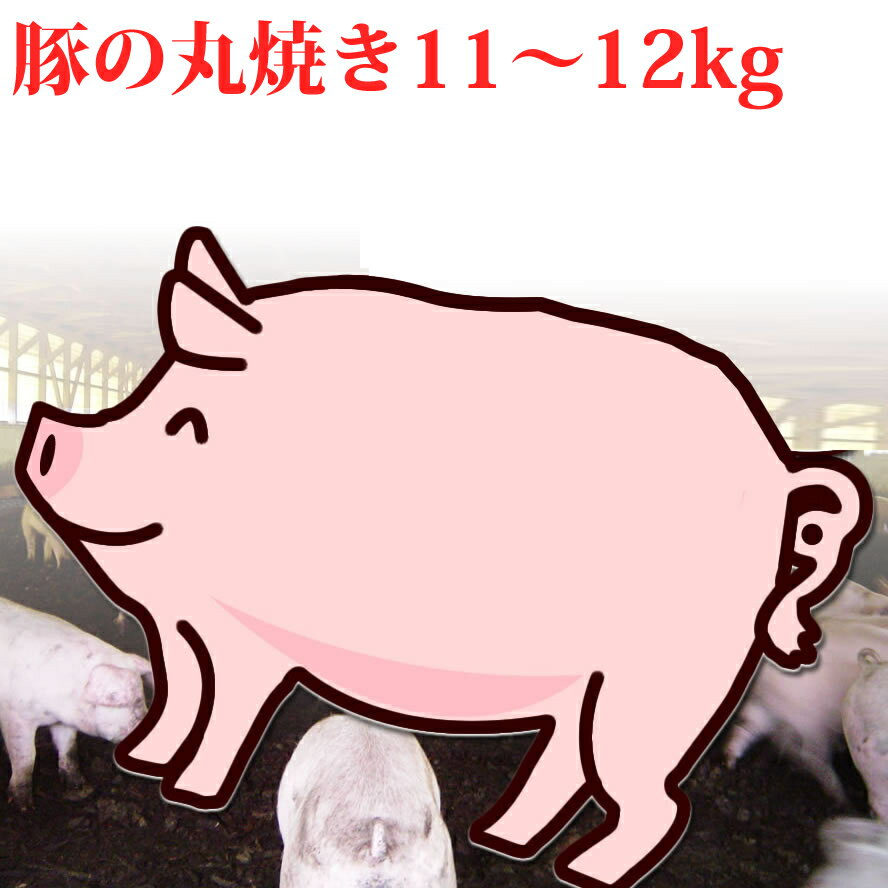 豚の丸焼き11～12kg（仔豚 子豚 子ぶた 仔ぶた 丸焼き まる焼き バーベキュー BBQ【受注製造のためキャンセル不可】のサムネイル