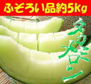 ≪ふぞろい品≫見た目が悪いだけで味は優等品と一緒！みずみずしいとろけるような果肉と口に入れた瞬間「じゅるっ」ふぞろいのタカミメロン【送料無料】