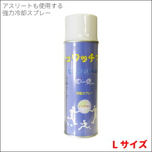 瞬間強力コールドスプレー　シュワッチマン大　480ml【冷却スプレー/スポーツ/動物/熱中症対策/アウトドア】