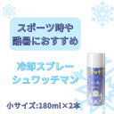 熱中症対策瞬間強力コールドスプレー シュワッチマン小180ml×2本 熱中症対策 暑さ対策 冷却スプレー イベント フェス スポーツ 動物 アウトドア 捻挫 ペット ノンフロン