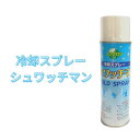 熱中症対策 瞬間強力コールドスプレー シュワッチマン大サイズ 480ml×3本 冷却スプレー フェス イベント スポーツ 動物 アウトドア ペット ノンフロン 夏 涼しくなるスプレー