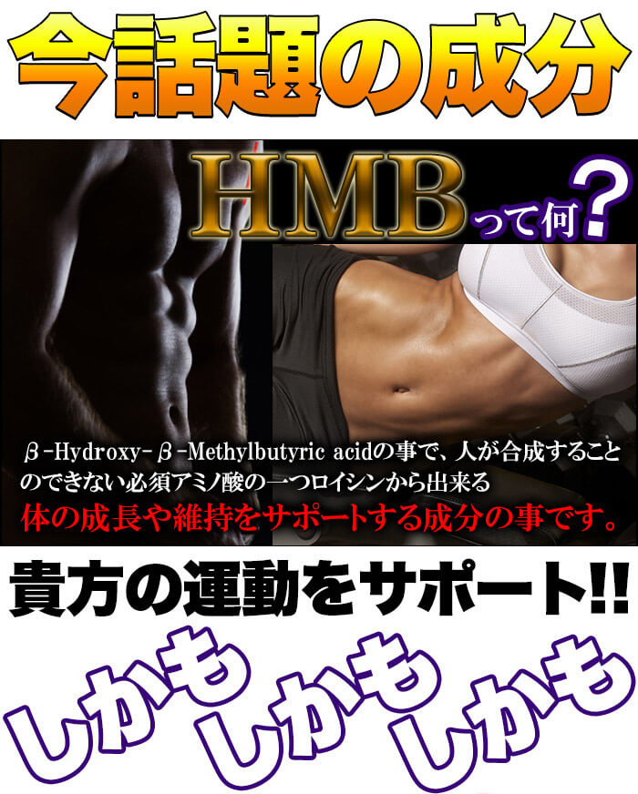 メガ盛り★HMBサプリメント どっさり約4ヶ月分 120粒 サプリ BCAA バリン ロイシン ...