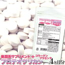 メガ盛り★プロテオグリカン約4ヵ月分 サプリメント 約4ヶ月分 120粒 美容 スキンケア サプリ うるおい フィッシュコラーゲン プラセンタ ビタミン