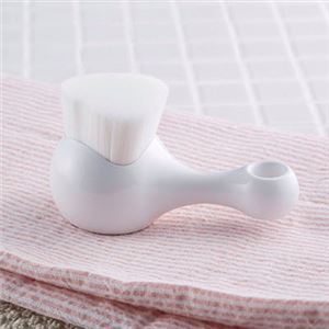 ���� ��̩������֥饷 �ե��������� ����Ϥ���å� �եå���