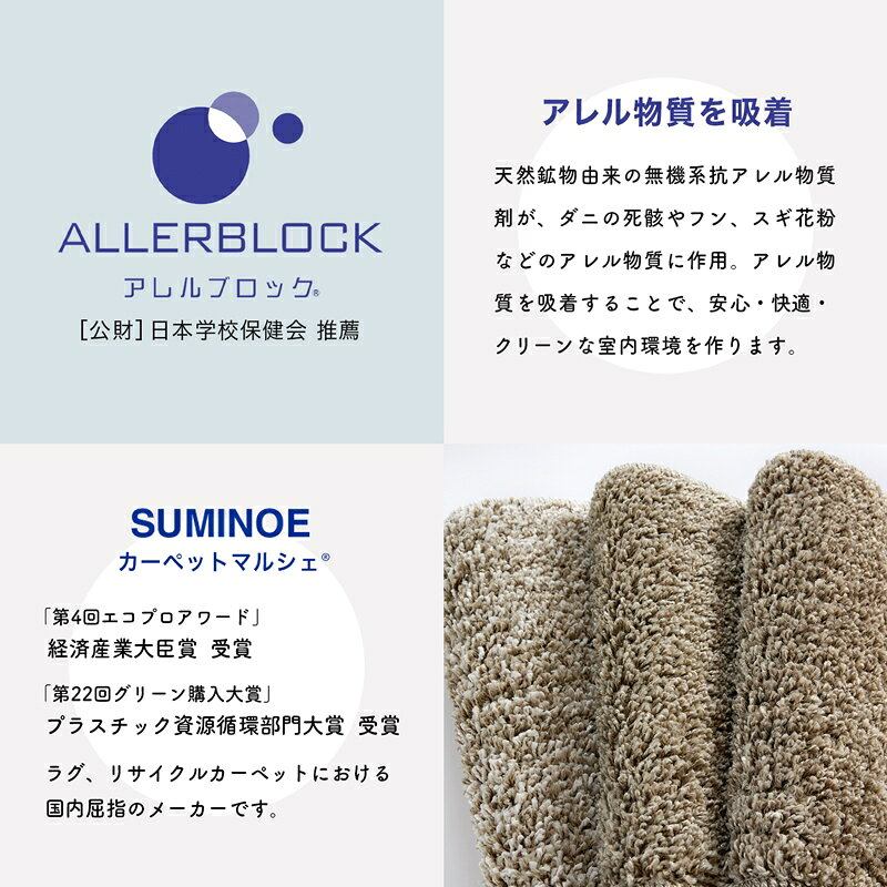 万能 洗えるラグ Sol ソル 選べる3サイズ 無地 通年 オールシーズン 防ダニ 日本製 床暖対応 ホットカーペット対応 洗える ウォッシャブル マット 絨毯 ラグマット リビング ひとり暮らし スミノエ スミノエラグ 送料無料 [CLT] sunrose-10013183 サンロック@インテリア サンプル画像3