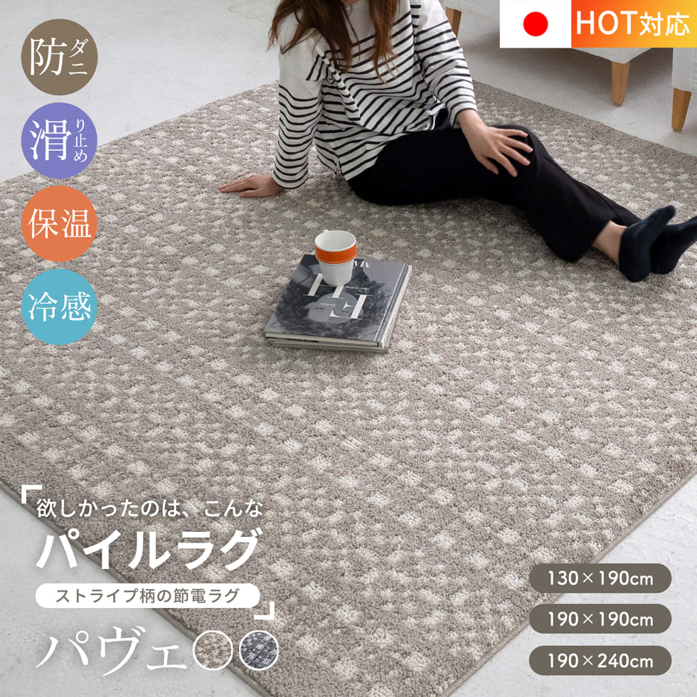 パイルラグ 万能 選べる3サイズ パヴェ通年 オールシーズン 保温 冷感 HOT＆COOL 防ダニ 日本製 床暖対..