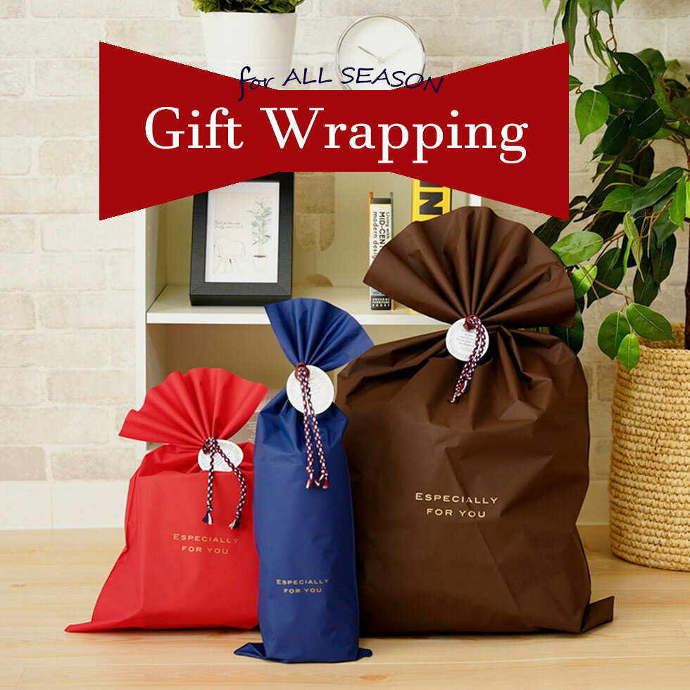 ギフトラッピング ギフトバッグ 梨地 シンプル贈り物 プレゼント 包装 1個