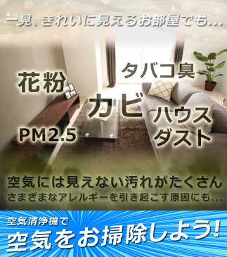 ★クーポンで350円off★【あす楽】 空気清浄機 13畳 花粉 PM2.5対応 HEPAフィルター 4層フィルター 静音 マイナスイオン 室温表示機能 タイマー機能 小型 コンパクト 一人暮らし 空気清浄器 埃 タバコ 煙 ハウスダスト 脱臭 Sunruck SR-AC802-WH