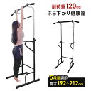 【P5倍 30日20時〜4h限定】 ぶら下がり健康器 懸垂マ...