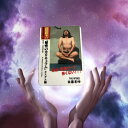 尊師エアフレッシュナー THE STEEZ オリジナル商品 芳香剤 佐藤尊師 USDM JDMジョークグッズ パロディ商品 スティーズ