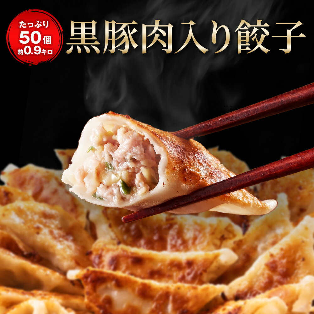 【月間70万粒完売】黒豚肉入り餃子 