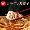 黒豚肉入り冷凍餃子 200個 一龍堂 餃