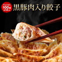 【お買い物マラソン期間中2,700円OFFクーポン配布】【月間70万個完売】 黒豚肉入り餃子100個 1.8キロ 一龍堂 餃子 ぎょうざ ギョウザ ギョーザ 生餃子 冷凍餃子 冷凍生餃子 大人気冷凍食品 送料無料 国産 簡単 食品 惣菜 中華惣菜 点心 中華点心 大人気 贈答品