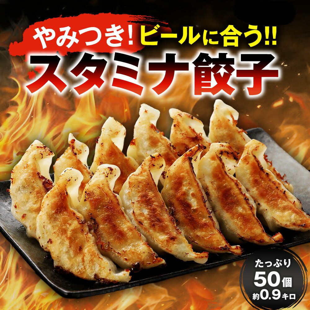 スタミナ餃子50個 餃子 冷凍餃子 生