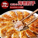 【ふるさと納税】冷凍餃子 35g×42個 10個入り（約350g×1パック） 16個入り（約560g×2パック） ぎょうざ ギョウザ 米の恵み 大きめ モチモチ系 おうちご飯 おかず 惣菜 冷凍 大分県産 九州 国産 送料無料