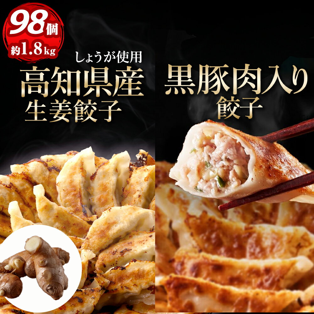 生姜餃子48個 黒豚肉入り餃子50個 ぎ
