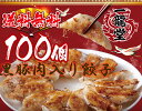 急上昇 黒豚肉入り 冷凍餃子 100個 送料無料 業務用 お...