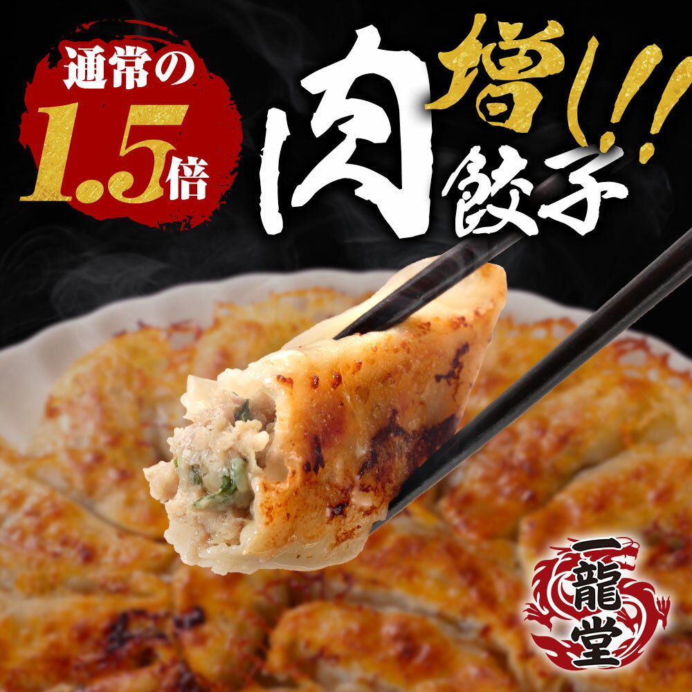 一龍堂 新発売 肉増し餃子 96個 餃子