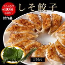 数量限定【試作品:しそ餃子⁽ニラ入り)1.9キロ!約100個】 一龍堂 餃子 ぎょうざ ギョウザ ギョーザ 生餃子 冷凍餃子 冷凍生餃子 大人気冷凍...